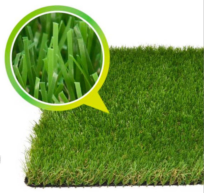 Zoom sur Green Dream 30